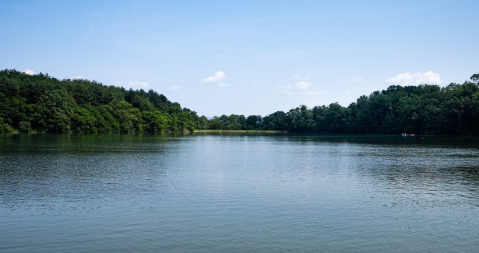 texas lake